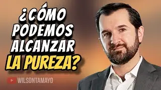 Tres caminos de la Pureza | Wilson Tamayo