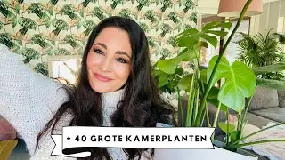 PLANTENVLOG: KAMERPLANTEN TOUR 2021 | + 40 GROTE KAMERPLANTEN IN MIJN COLLECTIE | MELISSA AARSSÉE