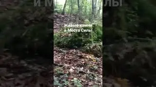 Технологии захватчиков нашего Мира