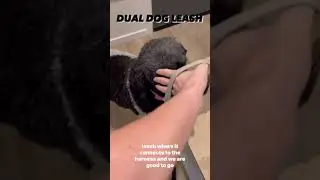 Dual Dog leash