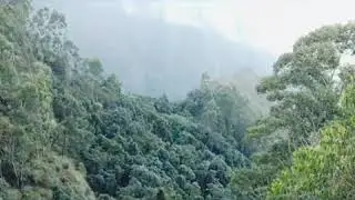 Dolphin nose   Kodaikanal dolphin nose point view whereto_next_