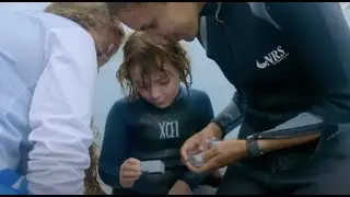 My Family and The Galapagos: Sharks