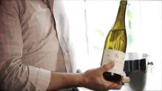 Quintessentially Wine Review of 2009 Bourgogne Blanc, Pierre Morey, Burgundy, France