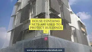 What is House Cover Netting? How it Worth on Bird Control?