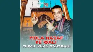 Mola Najaf Ke Wali