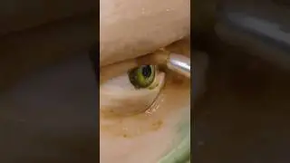 Это искусство безумно