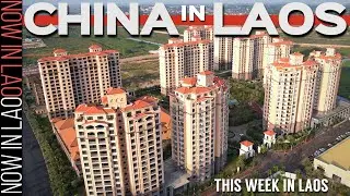 China SEZ in Laos - Duckweed UPDATE & SURPRISE! | Now in Lao