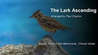 The Lark Ascending Learning Track (Tenor 1 - Choral voice with Metronome). Arranged by Paul Drayton