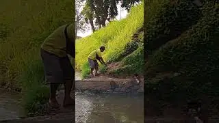 mancing ikan di Rowo tamtu dapat ikan nila,tawes,bader
