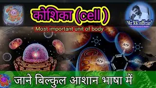 human cell | manav koshika | cell in biology #biology #cell