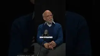 Уридин для здоровья нервной мембраны