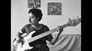 Nick Cave & The Bad Seeds - People Ain't No Good (Bass Cover)
