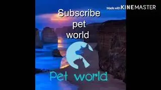(හරිම  ලෙසියෙන් හදන්න පුළුවන්)monster marble catfish (මාබල් catfish 🐠🐠🐠🐠)