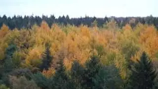 Hamfelde und sein Oberf&ouml;rster