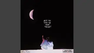 Have You Seen The Moon Tonight?