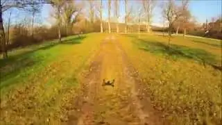 Schattenflug