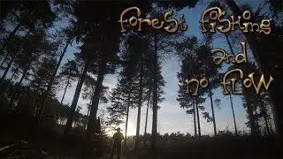 Forest Fishing & No Flow ‖ BetaFlight Chameleon FPV Freestyle