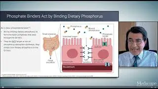 BEYOND BINDERS: EMERGING MECHANISMS OF PHOSPHATE LOWERING IN PATIENTS WITH CKD ON DIALYSIS