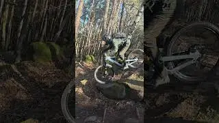YT Decoy - Einstieg Churchner - Naturtrails im Pf&auml;lzer Wald