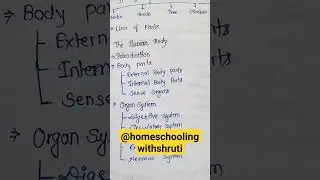 Science Syllabus Class-3 2024-2025||Science Syllabus|| Grade-3 Science Curriculum|| Science syllabus