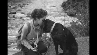 Program unites therapy dogs with domestic violence survivors