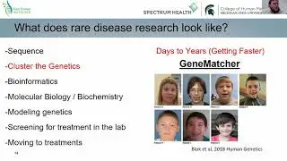 Rare Disease Research