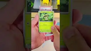 Pokemon Black Bolt Pack Opening #pokemon #pokemoncards #pokemontcg