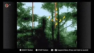Donkey Kong Country: 3-4 Temple Tempest Secret Rooms