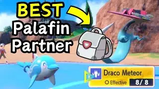 BEST Palafin Partner in Reg H! Pokemon VGC 2025 Scarlet and Violet Competitive Wifi Battle