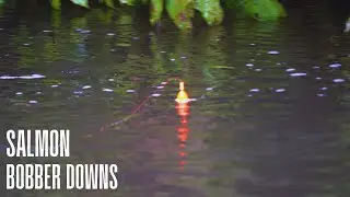 MONSTER King Salmon BOBBER DOWNS!