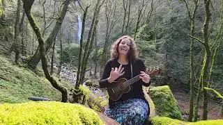 Ivory Bill (Original song)
