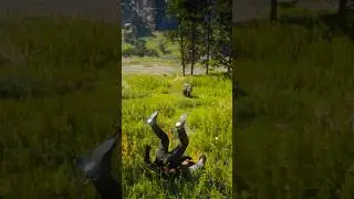 Ultimate Hunting & Survival Skills vid139