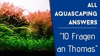 10 Fragen an Thomas (Zoobox) | AAA #073