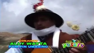 Linda Flor de Umasi OFICIAL - Kayllay Chalina | Pumpin Fajardino