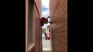 Parkour OO7 &bull;&bull; Parkour videos &bull;&bull; Parkour whatsapp status &bull;&bull; parkour pov &bull;&bull; #shorts #parkour