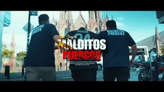 Malditos Puercos - EmePsycho ( Video Oficial )