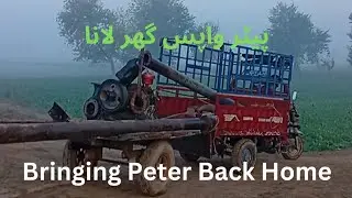 Bringing Peter Back Home | After Irrigation Work