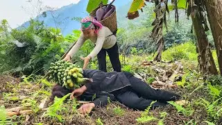 Girl and boy harvest banana flowers and bananas to sell, build new life