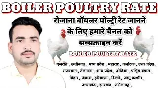 26 नवंबर 2025 Thok Murga Mandi Rate Today, Broiler Poultry Rate Today, Broiler Bhikan Rate Today 😱😱😱