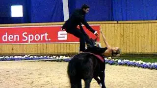 CHIO Aachen 2011 Devon Maitozo und Rosalind Ross - K&uuml;r Samstag