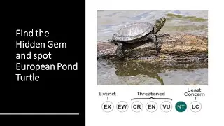 Hidden Gem : Turtle Pond, Schildkr&ouml;tenteich, Waiblingen - Travel Stories by Yours Lovingly Pavi