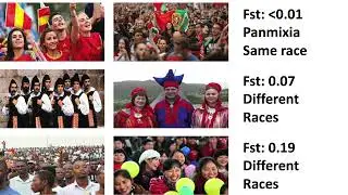 The Genetics of Race