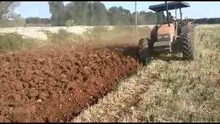 Aratro tridisco frontale Cav srl
