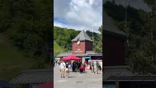 Walk in Blue Mountains in Canada 🇨🇦 #shorts