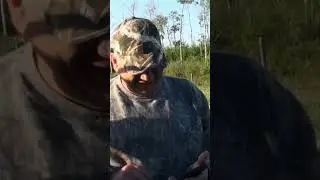 Saskatchewan black bear #shorts  #hunting #archery