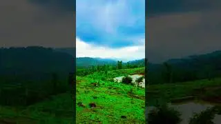 Dhalti sam ka 1 musafir😑#shorts #saware #arijitsingh #lofisong #nature #hindisong #sadsong