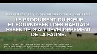 Sabots et habitat - &eacute;levons la barre plus haut en mati&egrave;re de durabilit&eacute;