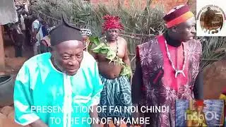 Presentation of Fai Ndi Chindi of Mansoh-Nkambe to the Fon 👑 of Nkambe. 