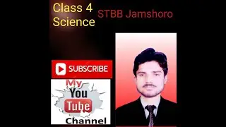 Class 4 science part 2 Sindhi medium