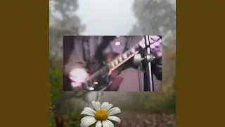 Ripple (Live)